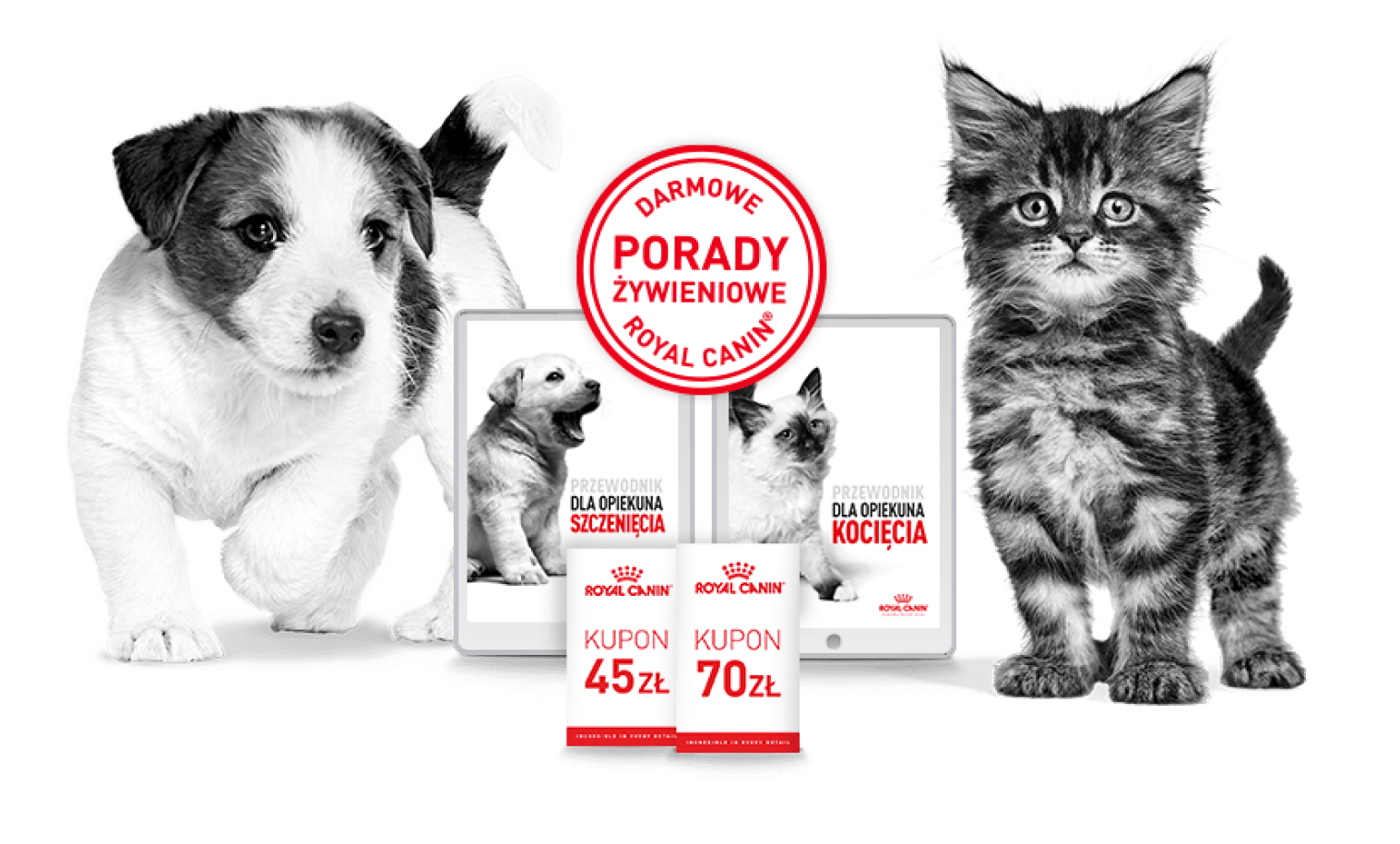 kot i pies z e-bookiem na tablecie i kuponami